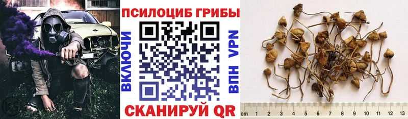 Галлюциногенные грибы прущие грибы  Сольвычегодск 