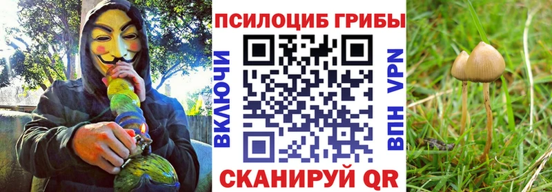 Галлюциногенные грибы ЛСД Сольвычегодск
