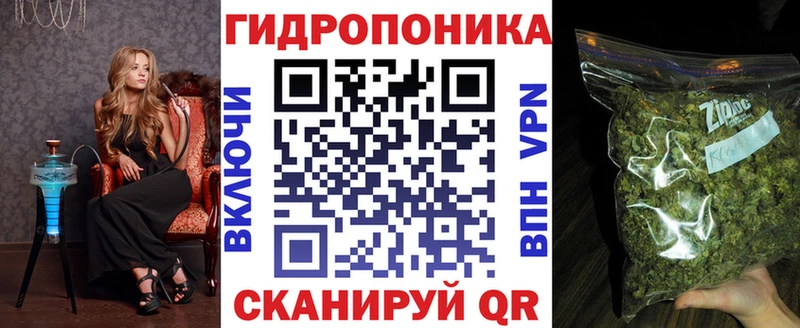 omg tor  Сольвычегодск  Канабис гибрид 